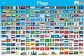 Cover: Flags - Collins