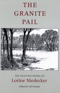 Enlarge image Cover: The Granite Pail - Gnomon Press