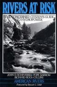 Enlarge image Cover: Rivers at Risk - Island Press
