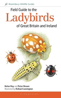 Enlarge image Cover: Field Guide to the Ladybirds of Great Britain and Ireland - Bloomsbury Wildlife