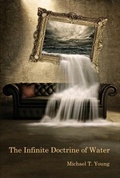 Cover: The Infinite Doctrine of Water - Terrapin Books