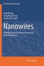 Cover: Nanowires - Springer