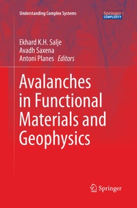 Enlarge image Cover: Avalanches in Functional Materials and Geophysics - Springer