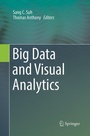 Cover: Big Data and Visual Analytics - Springer