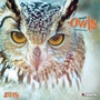 Cover: Magic Owls 2019 - Tushita PaperArt GmbH
