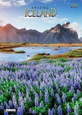 Cover: Amazing Iceland 2019 - Tushita PaperArt GmbH