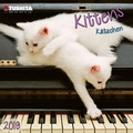 Cover: Kittens 2019 - Tushita PaperArt GmbH