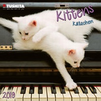 Enlarge image Cover: Kittens 2019 - Tushita PaperArt GmbH
