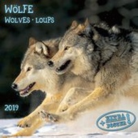 Enlarge image Cover: Wolves/Wölfe 2019 - Tushita PaperArt GmbH