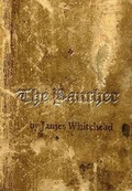 Cover: The Panther - Moon City Press