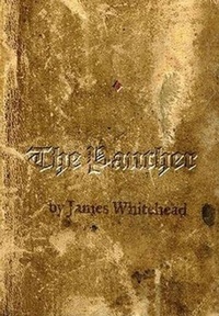 Enlarge image Cover: The Panther - Moon City Press