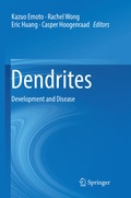 Cover: Dendrites - Springer