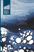 Cover: Entrepreneurial Universities in Innovation-Seeking Countries - Palgrave MacMillan