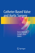 Bild: Catheter Based Valve and Aortic Surgery - Springer
