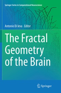 Abbildung von: The Fractal Geometry of the Brain - Springer