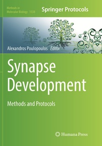 Abbildung von: Synapse Development - Humana Press Inc.