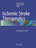 Bild: Ischemic Stroke Therapeutics - Springer