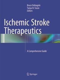 Bild: Ischemic Stroke Therapeutics - Springer