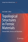 Cover: Topological Structures in Ferroic Materials - Springer