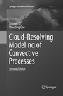 Cover: Cloud-Resolving Modeling of Convective Processes - Springer