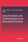 Cover: Gang Transitions and Transformations in an International Context - Springer