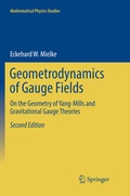 Cover: Geometrodynamics of Gauge Fields - Springer