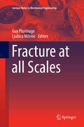 Cover: Fracture at all Scales - Springer