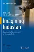 Cover: Imagining Industan - Springer