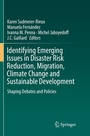 Cover: Identifying Emerging Issues in Disaster Risk Reduction, Migration, Climate Change and Sustainable Development - Springer