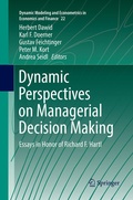 Cover: Dynamic Perspectives on Managerial Decision Making - Springer