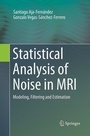 Cover: Statistical Analysis of Noise in MRI - Springer