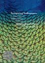 Cover: Imagining Indianness - Palgrave Macmillan