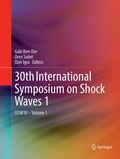 Cover: 30th International Symposium on Shock Waves 1 - Springer