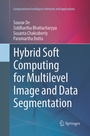 Cover: Hybrid Soft Computing for Multilevel Image and Data Segmentation - Springer