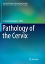 Bild: Pathology of the Cervix - Springer