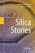Cover: Silica Stories - Springer