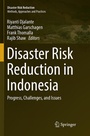 Cover: Disaster Risk Reduction in Indonesia - Springer