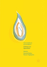 Enlarge image Cover: The European Gas Markets - Palgrave Macmillan