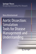 Bild: Aortic Dissection: Simulation Tools for Disease Management and Understanding - Springer