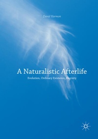Enlarge image Cover: A Naturalistic Afterlife - Palgrave Macmillan
