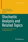 Cover: Stochastic Analysis and Related Topics - Birkhäuser