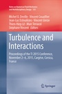 Cover: Turbulence and Interactions - Springer