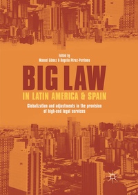 Abbildung von: Big Law in Latin America and Spain - Palgrave Macmillan