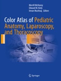 Bild: Color Atlas of Pediatric Anatomy, Laparoscopy, and Thoracoscopy - Springer