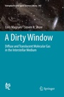Cover: A Dirty Window - Springer