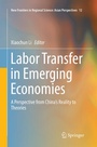 Cover: Labor Transfer in Emerging Economies - Springer