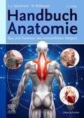 Bild: Handbuch Anatomie - Urban & Fischer