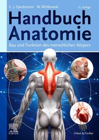 Abbildung von: Handbuch Anatomie - Urban & Fischer