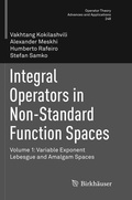 Cover: Integral Operators in Non-Standard Function Spaces - Birkh&auml;user