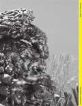 Cover: Permanent Collection - Issue V - Aspen Art Press